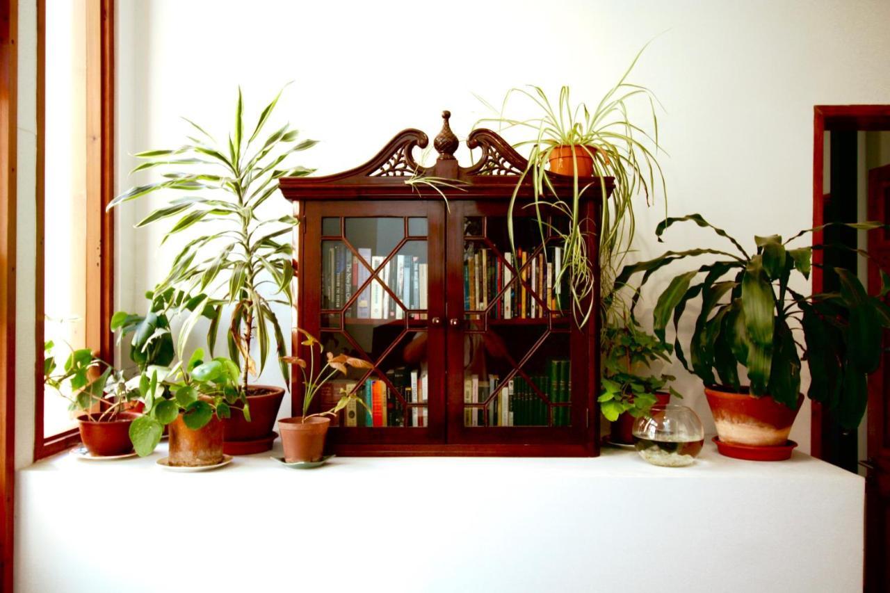 Casa California Guesthouse Valparaiso Ngoại thất bức ảnh